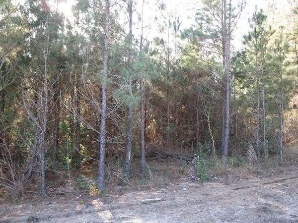Residential Land for Sale in Ellisville, Mississippi