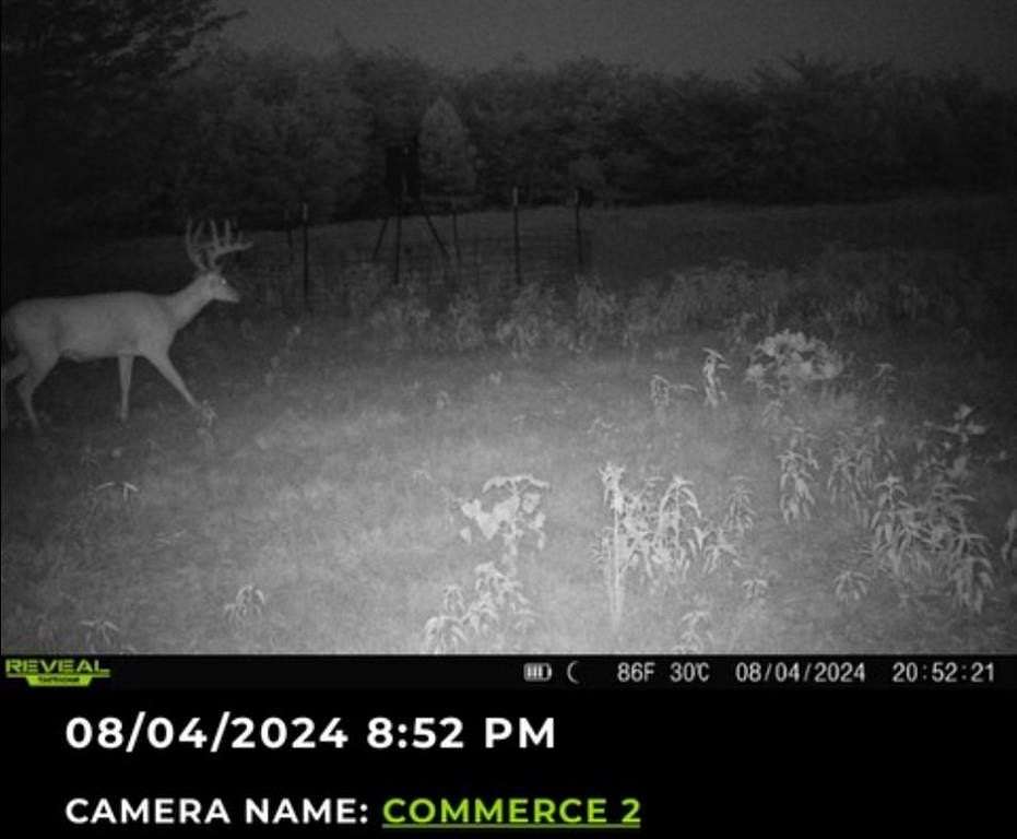 113 Acres of Land for Sale in Commerce, Texas