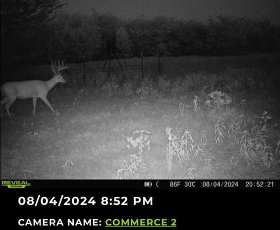 113 Acres of Land for Sale in Commerce, Texas