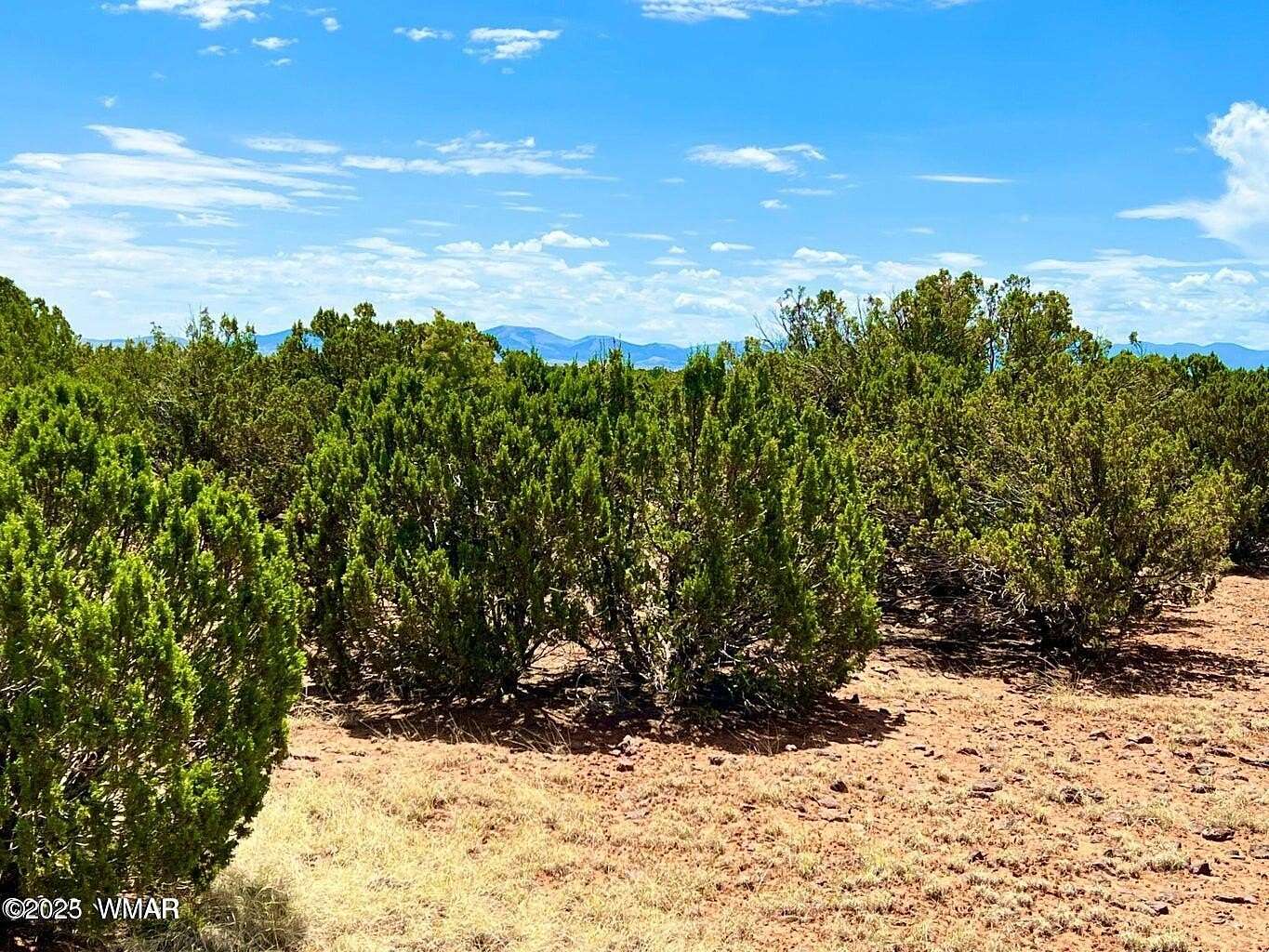1.15 Acres of Residential Land for Sale in Concho, Arizona
