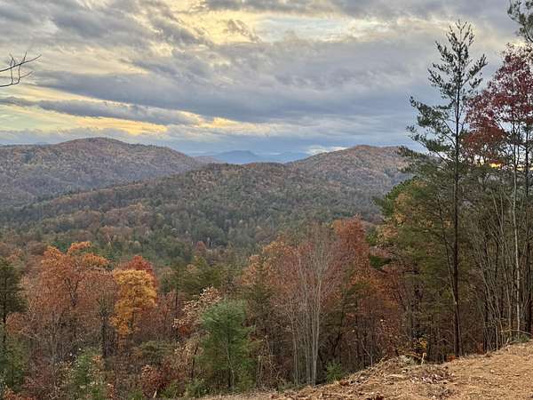 7.1 Acres of Land for Sale in Del Rio, Tennessee