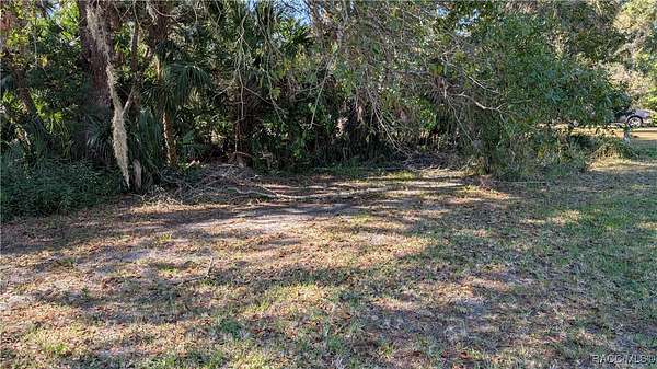 0.33 Acres of Residential Land for Sale in Homosassa, Florida