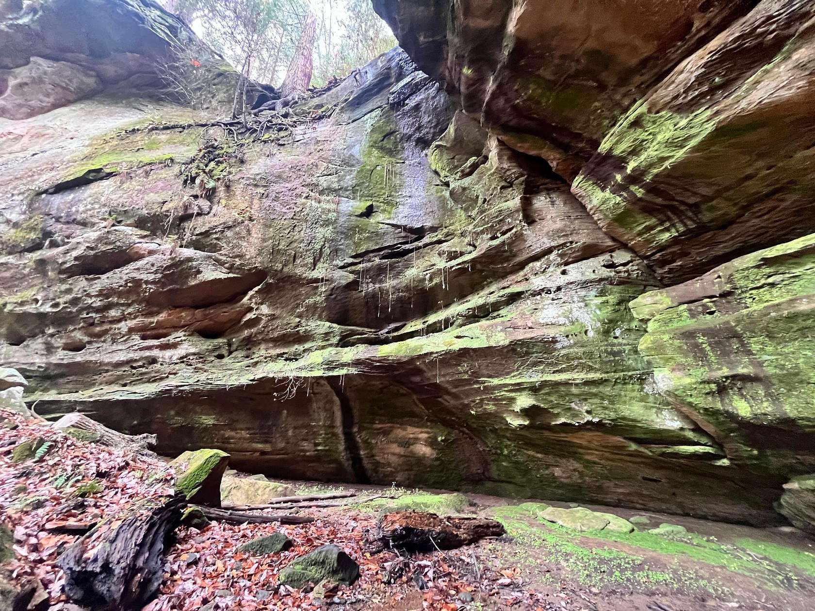 59.3 Acres of Recreational Land with Home for Sale in Rockbridge, Ohio