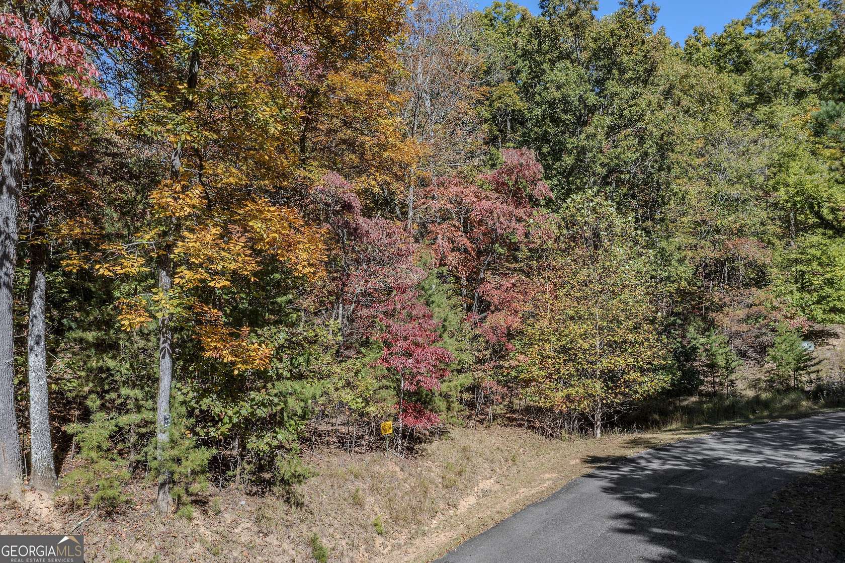 2 Acres of Land for Sale in Morganton, Georgia