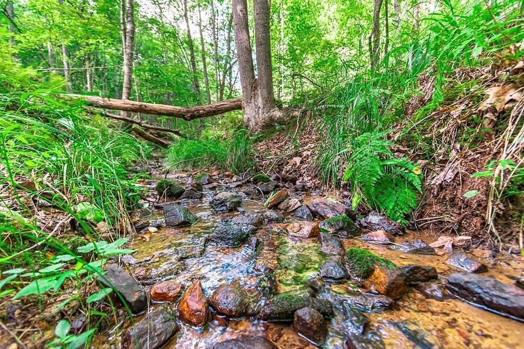 2 Acres of Land for Sale in Morganton, Georgia