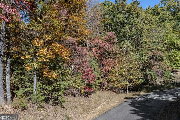 2 Acres of Land for Sale in Morganton, Georgia