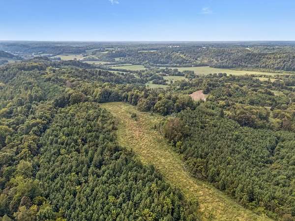 60.5 Acres of Land for Sale in Goodspring, Tennessee