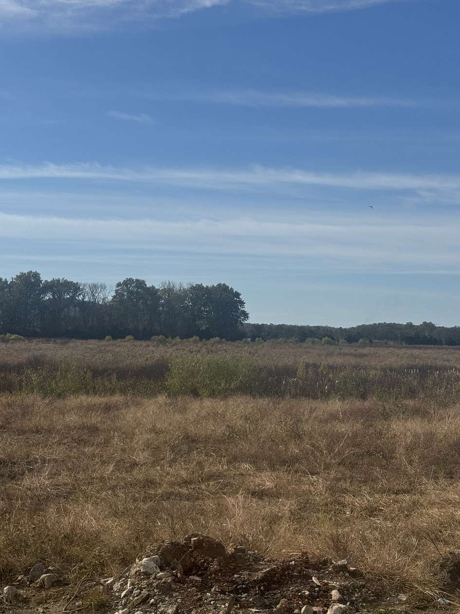 1 Acre of Residential Land for Sale in Eagleville, Tennessee