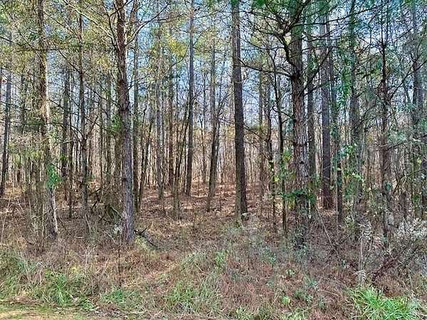 2 Acres of Land for Sale in Waverly Hall, Georgia
