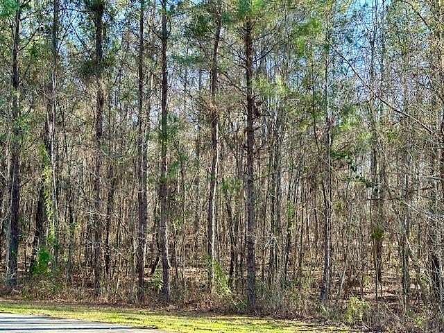 2 Acres of Land for Sale in Waverly Hall, Georgia