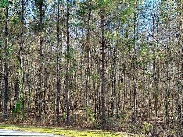 2 Acres of Land for Sale in Waverly Hall, Georgia