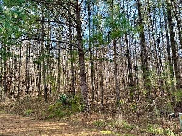 2 Acres of Land for Sale in Waverly Hall, Georgia