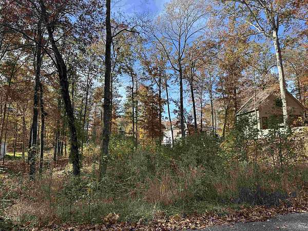 0.44 Acres of Land for Sale in Counce, Tennessee