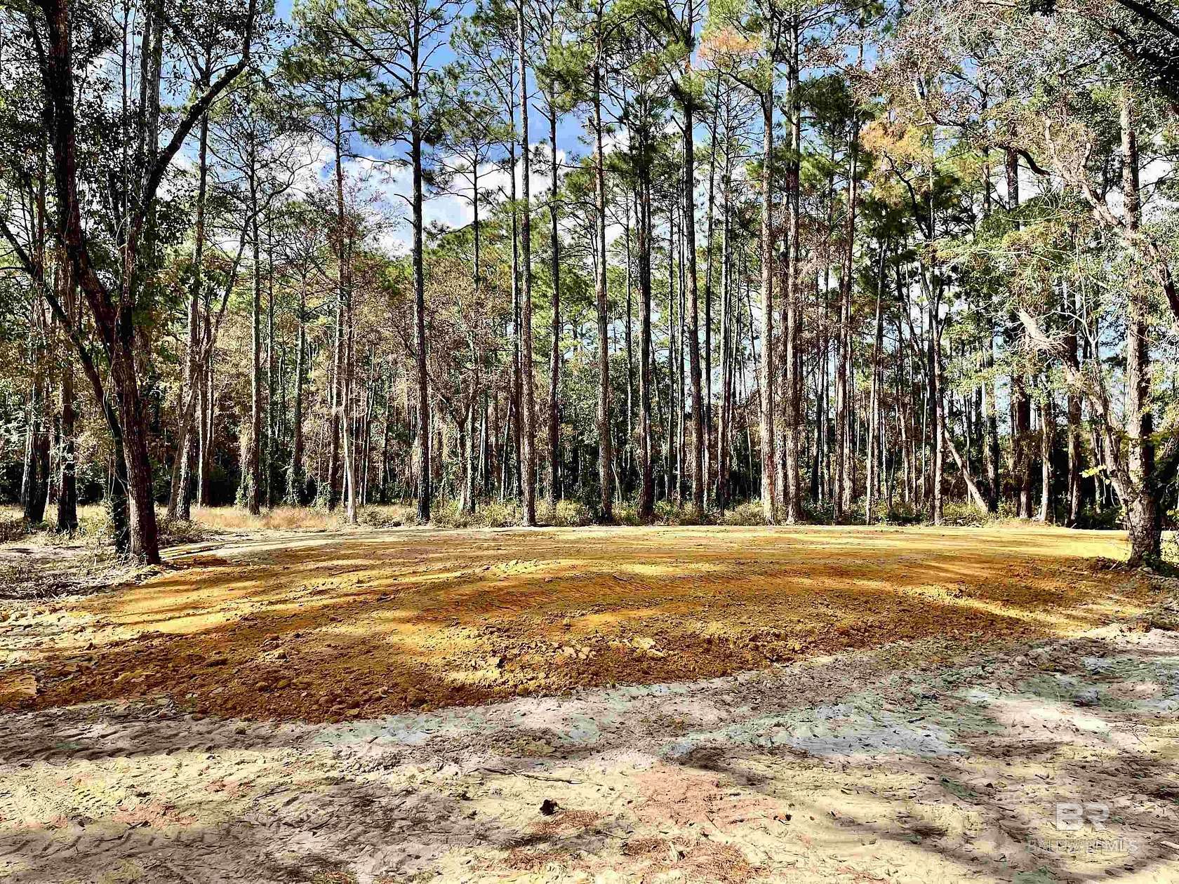 40 Acres of Recreational & Residential Land for Sale in Foley, Alabama