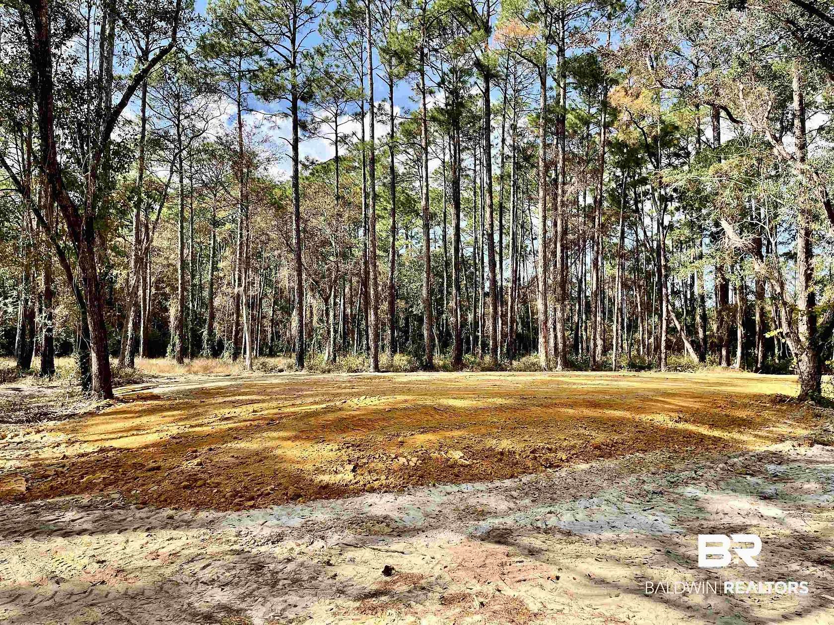 40 Acres of Recreational & Residential Land for Sale in Foley, Alabama