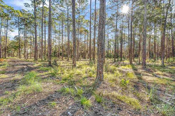 40 Acres of Recreational Land for Sale in Foley, Alabama