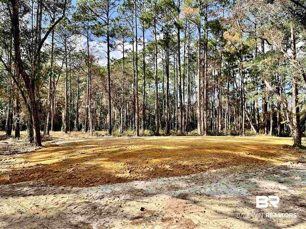 40 Acres of Recreational & Residential Land for Sale in Foley, Alabama