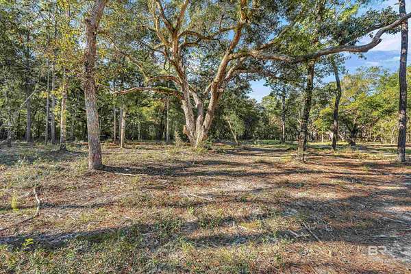 49.6 Acres of Recreational Land for Sale in Foley, Alabama