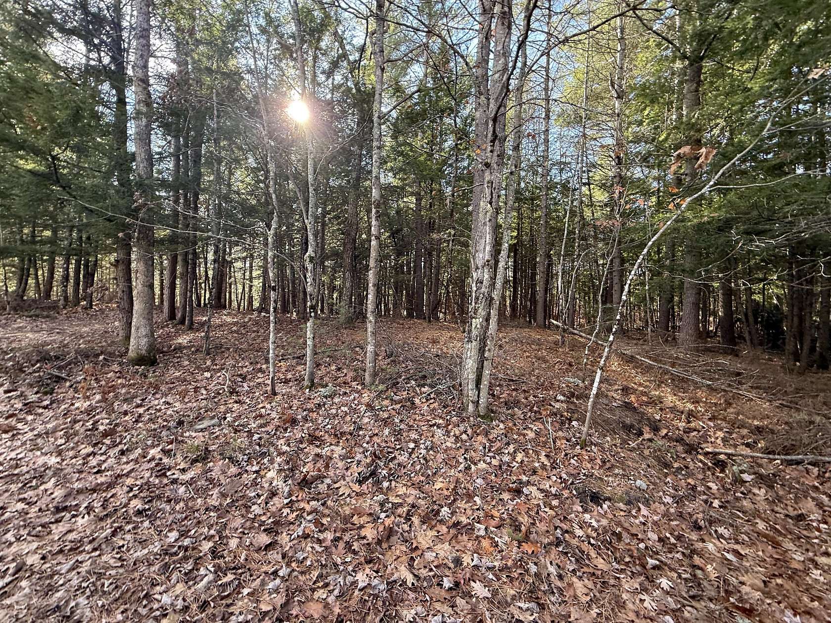 1.38 Acres of Land for Sale in Newfield, Maine