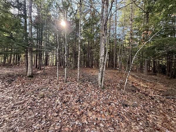 1.38 Acres of Land for Sale in Newfield, Maine
