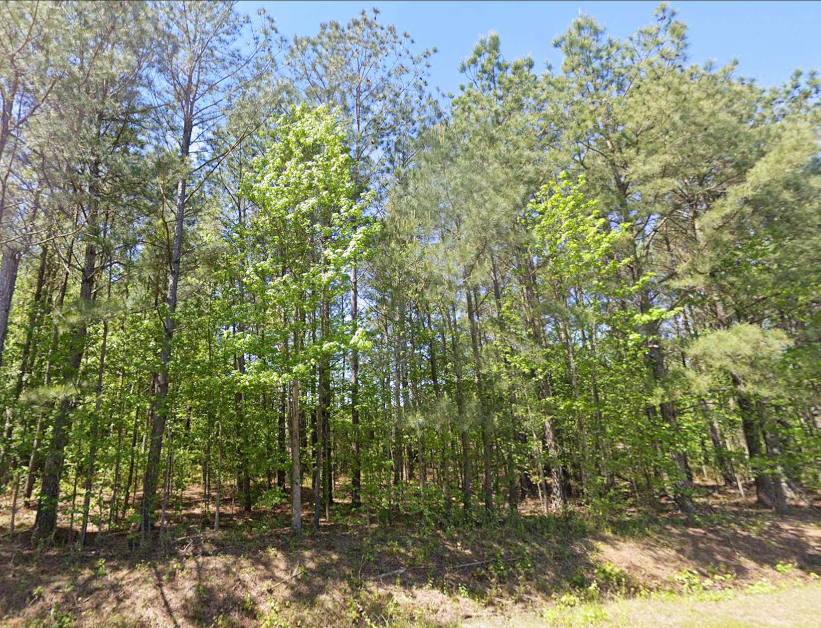 5.7 Acres of Residential Land for Sale in Rowland, North Carolina