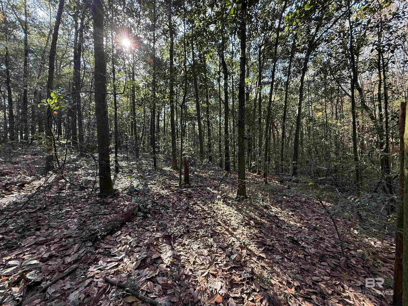 4.12 Acres of Residential Land for Sale in Semmes, Alabama