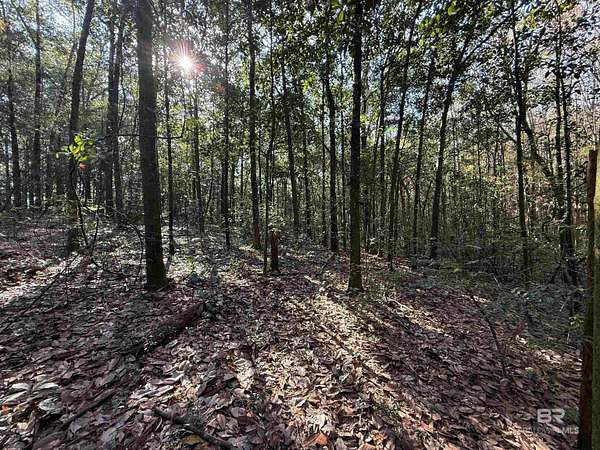 4.12 Acres of Residential Land for Sale in Semmes, Alabama