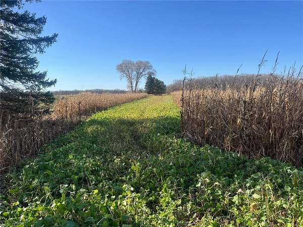 44 Acres of Land for Sale in St. Joseph, Minnesota