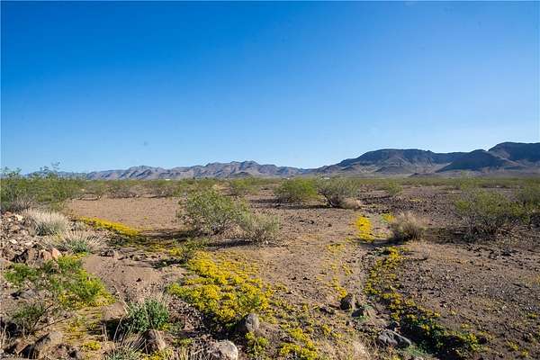 40 Acres of Land for Sale in Golden Valley, Arizona
