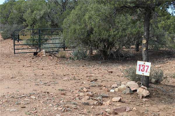38 Acres of Recreational Land with Home for Sale in Hackberry, Arizona