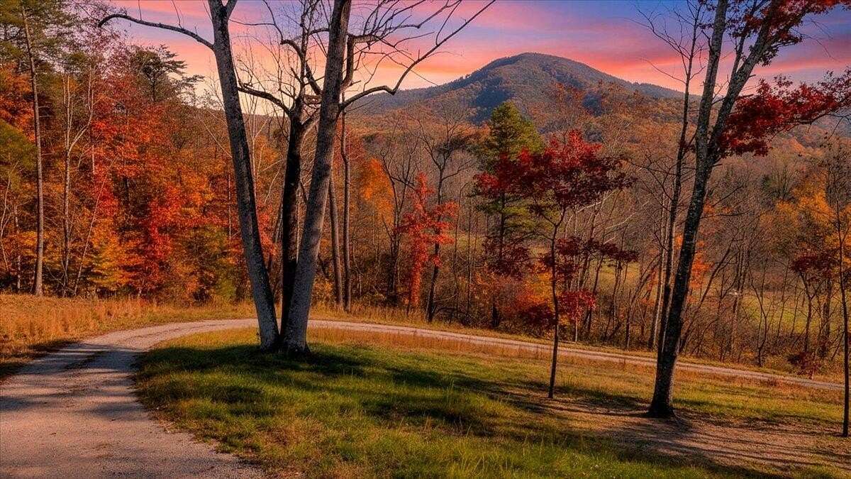 38.6 Acres of Agricultural Land for Sale in Roanoke, Virginia