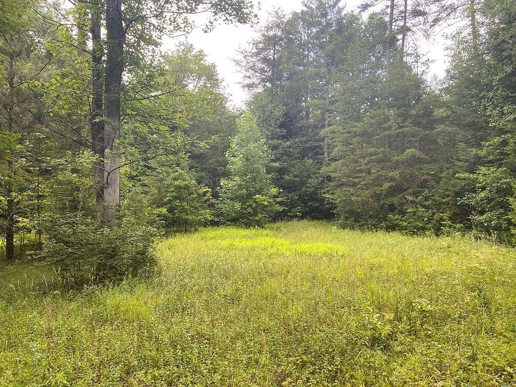 44 Acres of Recreational Land for Sale in Crab Orchard, Tennessee