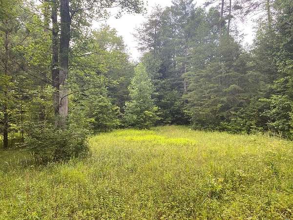 44 Acres of Recreational Land for Sale in Crab Orchard, Tennessee
