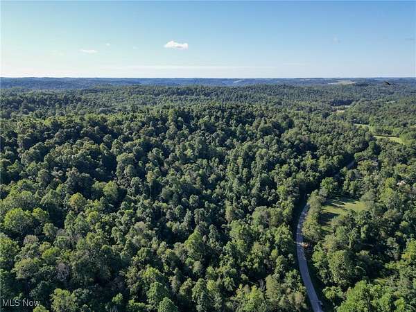 66.2 Acres of Recreational Land for Auction in Quaker City, Ohio