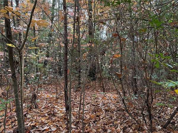 6.12 Acres of Residential Land for Sale in Purlear, North Carolina