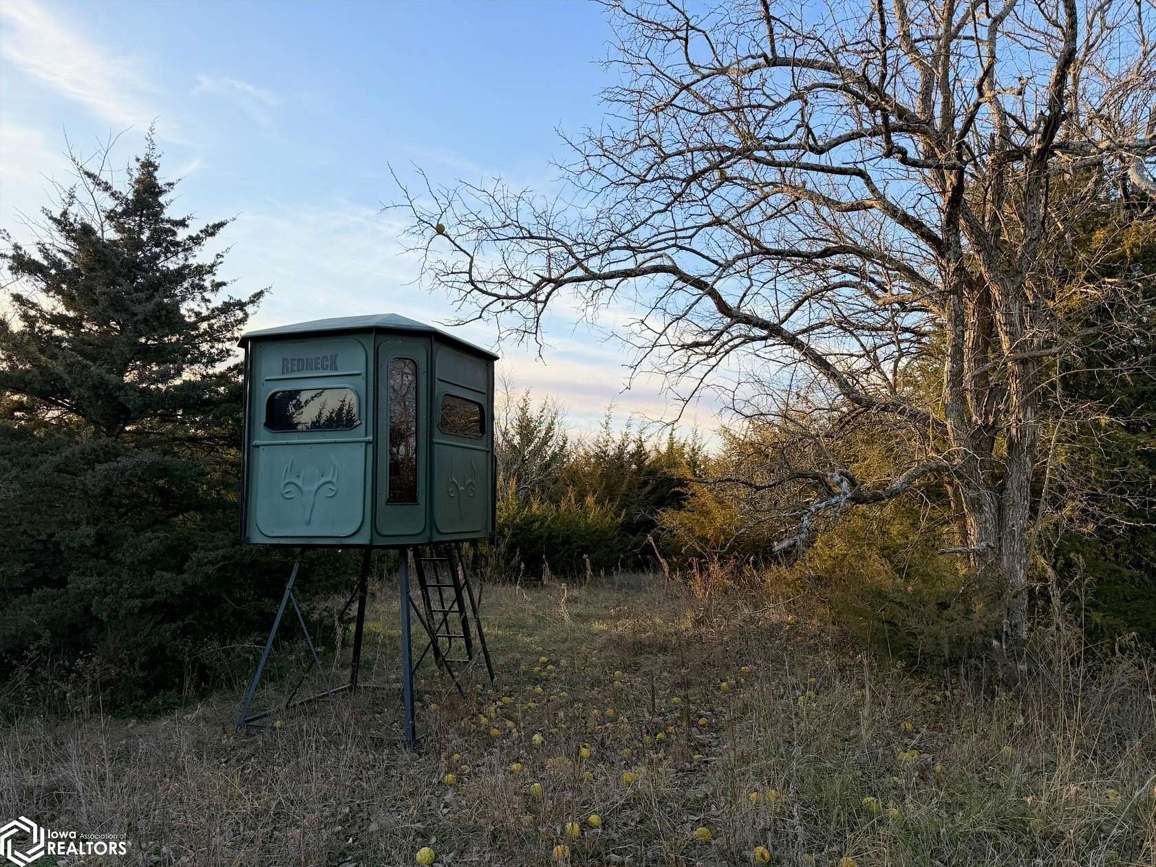 38 Acres of Recreational Land & Farm for Sale in Murray, Iowa