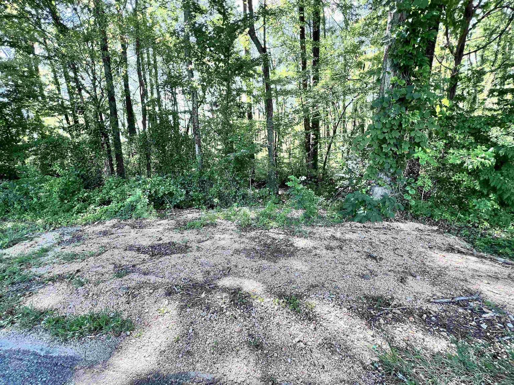 15 Acres of Recreational Land for Sale in McKenzie, Tennessee