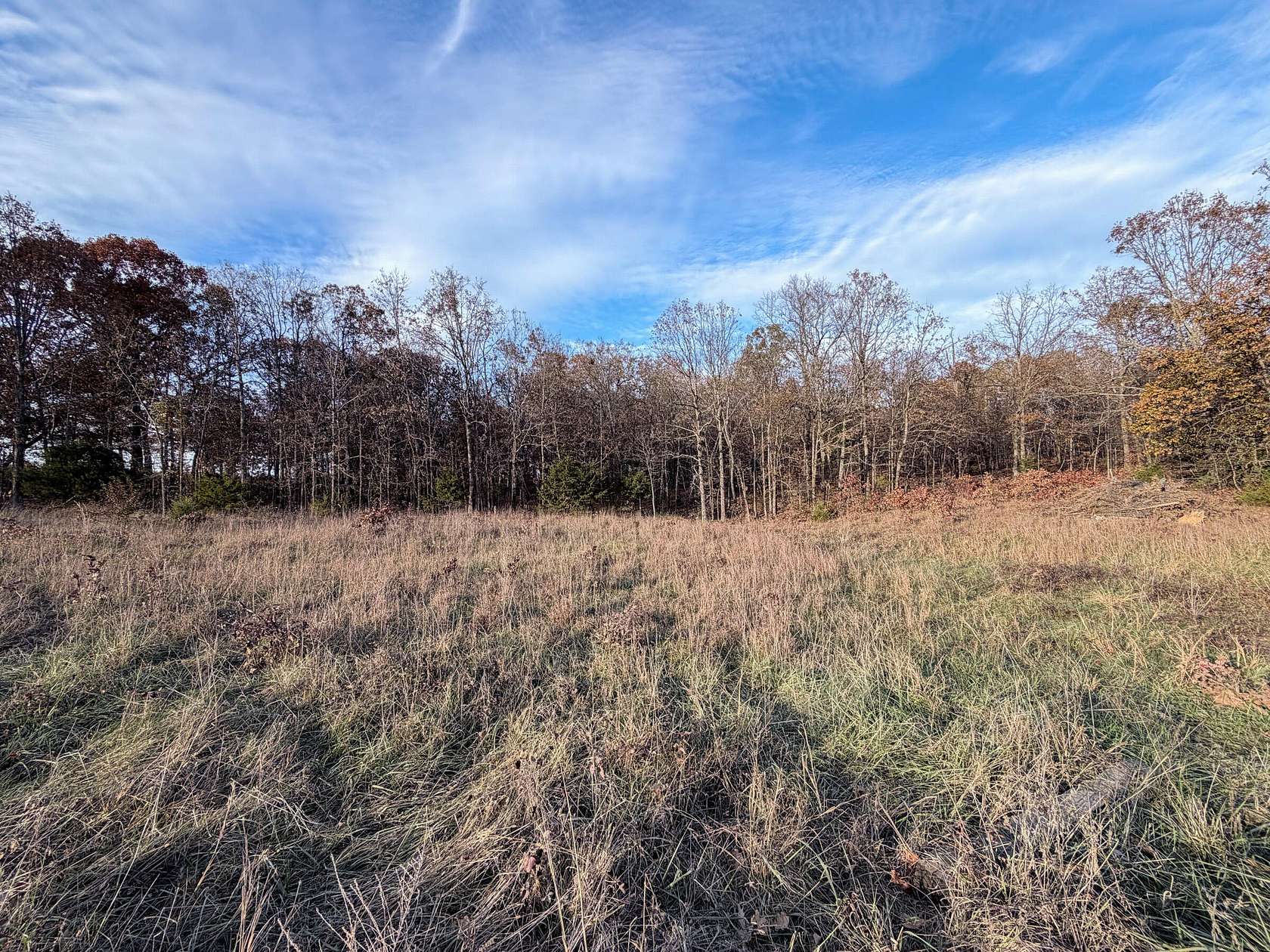 20 Acres of Recreational Land for Sale in West Plains, Missouri