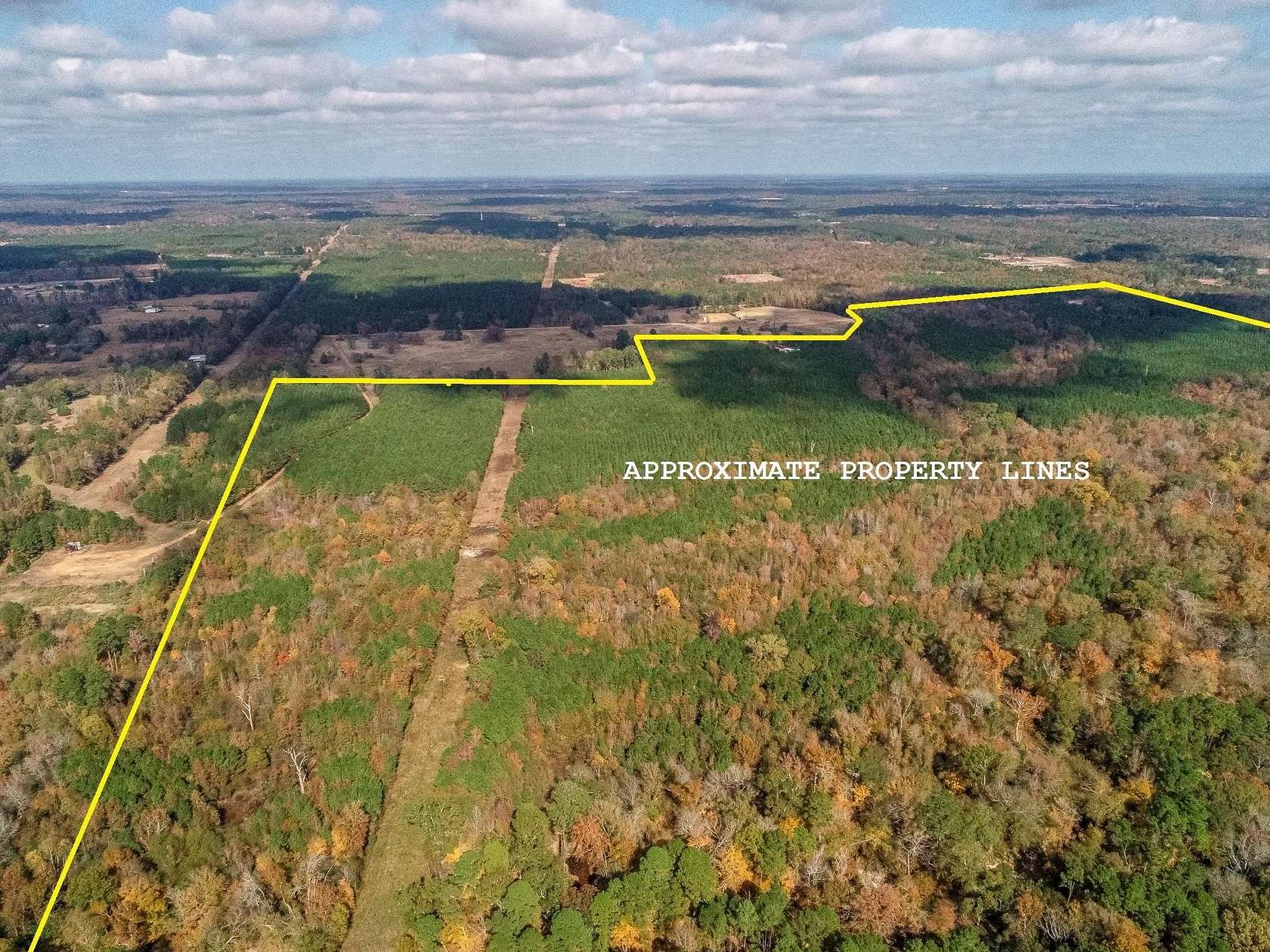 289 Acres of Recreational Land for Sale in Marshall, Texas