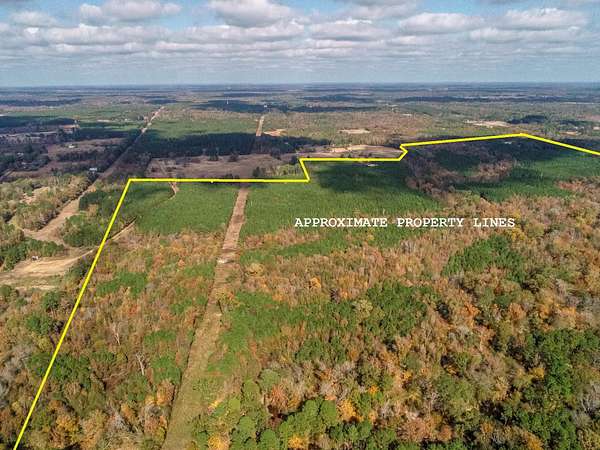 289 Acres of Recreational Land for Sale in Marshall, Texas