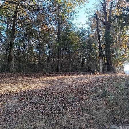 10 Acres of Recreational Land for Sale in Parks, Arkansas