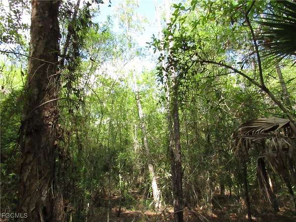 1.49 Acres of Residential Land for Sale in LaBelle, Florida