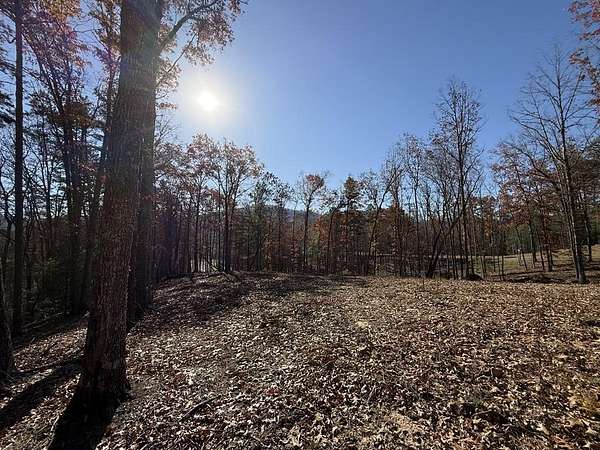 1.36 Acres of Land for Sale in Mineral Bluff, Georgia