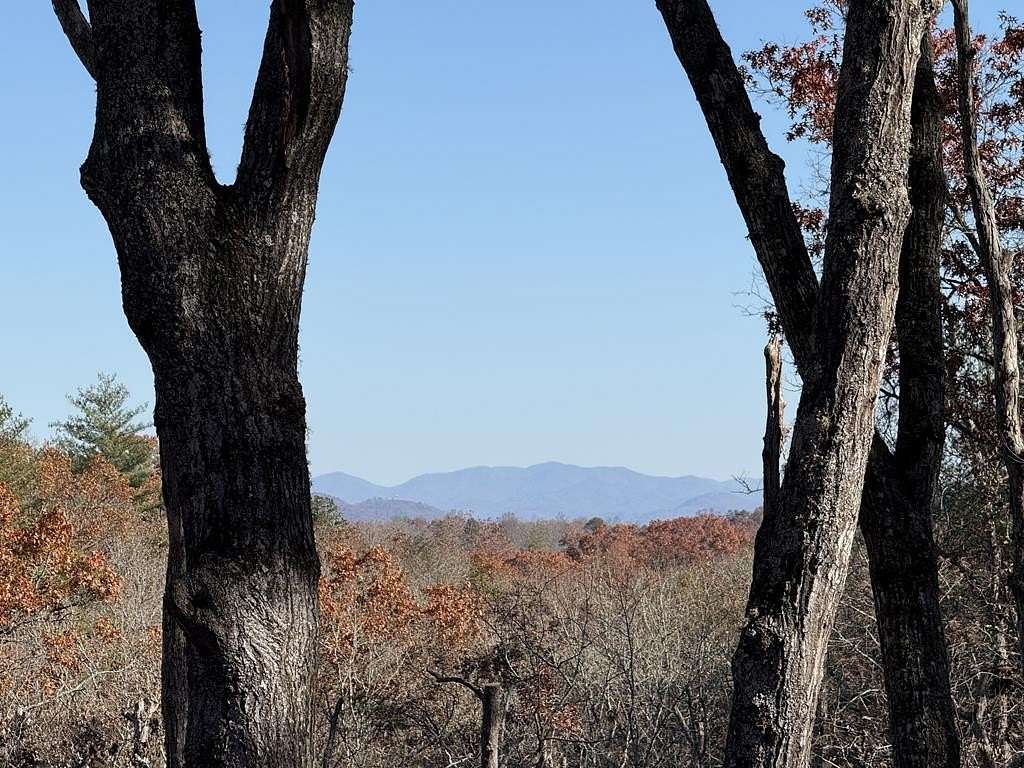 1.12 Acres of Residential Land for Sale in Mineral Bluff, Georgia