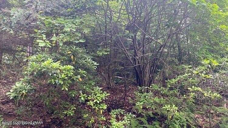 0.22 Acres of Residential Land for Sale in Scotrun, Pennsylvania