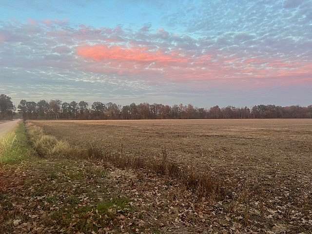 40 Acres of Land for Sale in Bloomfield, Missouri