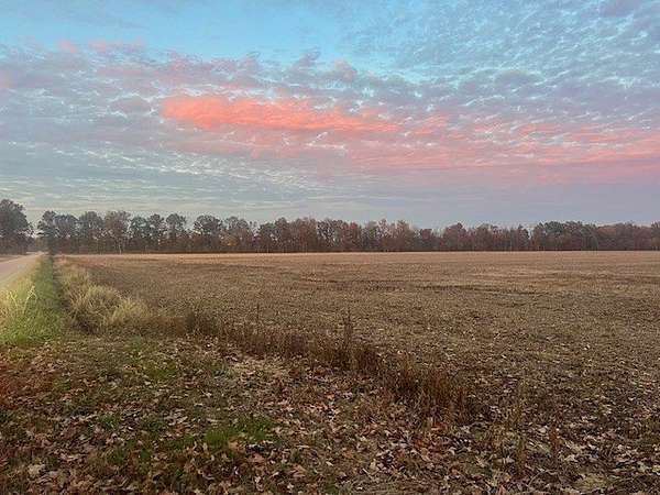 40 Acres of Land for Sale in Bloomfield, Missouri