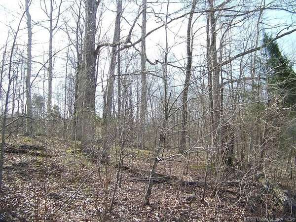 32 Acres of Recreational Land for Sale in English, Indiana