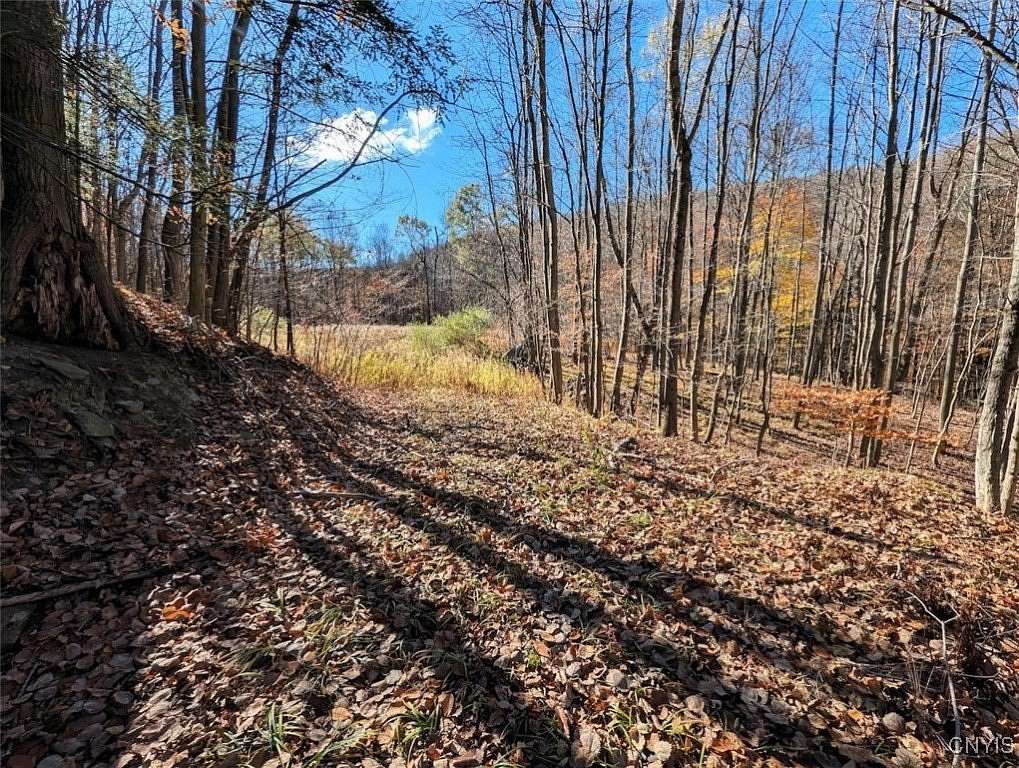 5.2 Acres of Land for Sale in Greenwood, New York