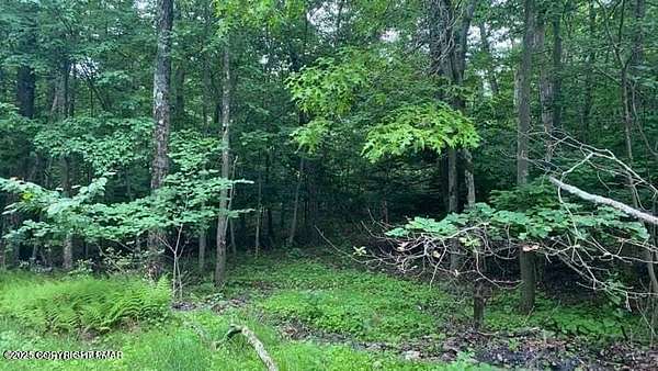 0.3 Acres of Residential Land for Sale in Scotrun, Pennsylvania